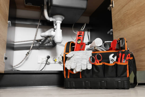 Best Clogged Drain Plumber  in Lake Oswego, OR